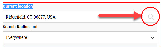 Example of values for Locator Search Tool